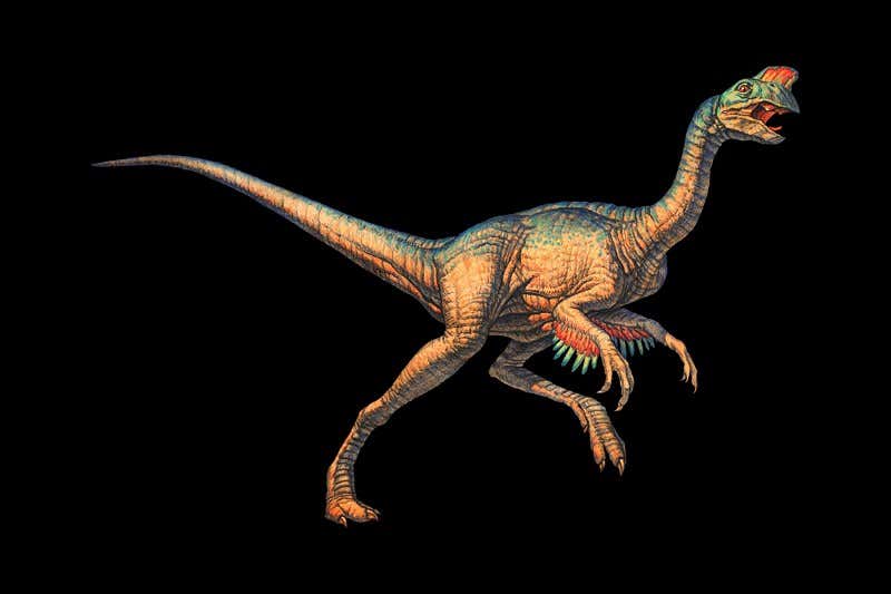 New Scientist. Science news and long reads from expert journalists, covering developments in science, technology, health and the environment on the website and the magazine.