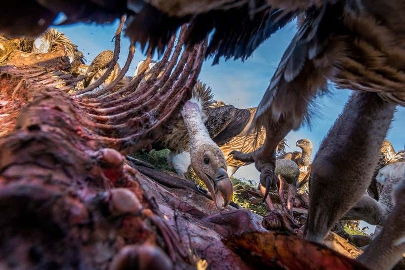 New Scientist. Science news and long reads from expert journalists, covering developments in science, technology, health and the environment on the website and the magazine.