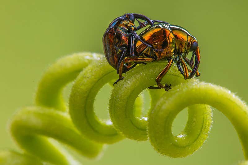 New Scientist. Science news and long reads from expert journalists, covering developments in science, technology, health and the environment on the website and the magazine.