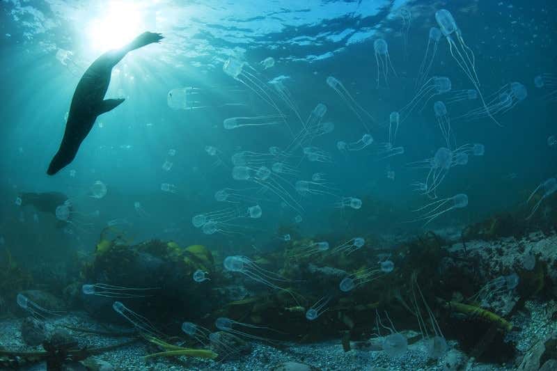 New Scientist. Science news and long reads from expert journalists, covering developments in science, technology, health and the environment on the website and the magazine.