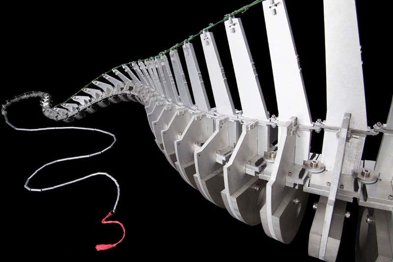 New Scientist. Science news and long reads from expert journalists, covering developments in science, technology, health and the environment on the website and the magazine.