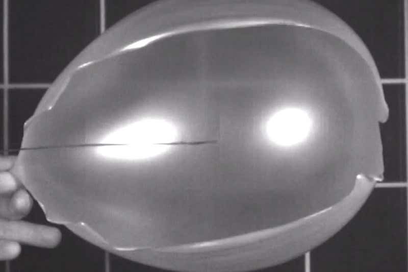 New Scientist. Science news and long reads from expert journalists, covering developments in science, technology, health and the environment on the website and the magazine.