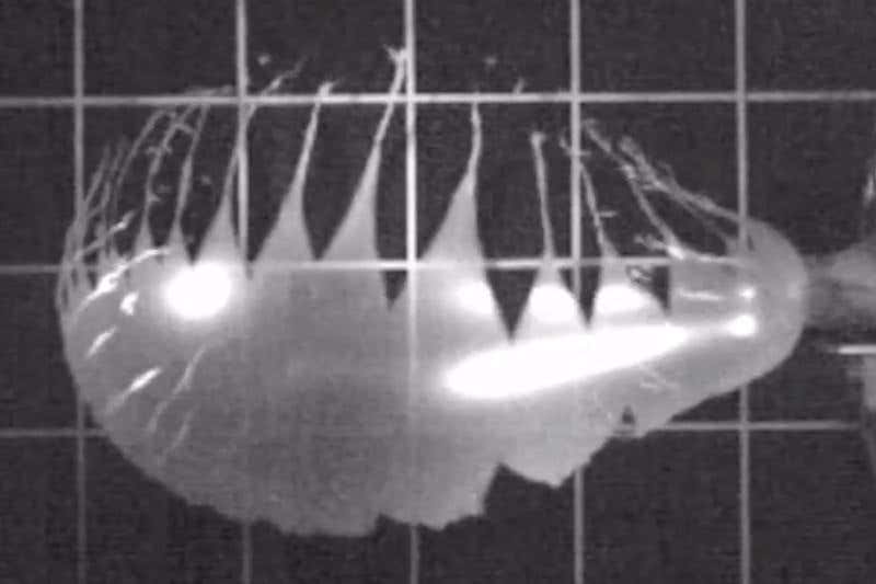 New Scientist. Science news and long reads from expert journalists, covering developments in science, technology, health and the environment on the website and the magazine.