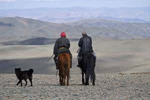 First domestication of dogs took place in Asia, not Europe