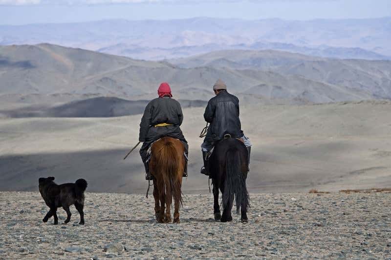 New Scientist. Science news and long reads from expert journalists, covering developments in science, technology, health and the environment on the website and the magazine.