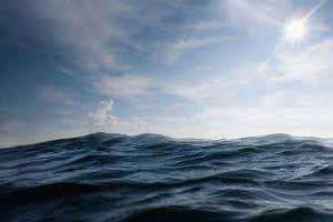 Seabed superorganism uses electricity to lock up greenhouse gas