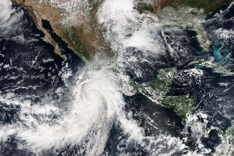 New Scientist. Science news and long reads from expert journalists, covering developments in science, technology, health and the environment on the website and the magazine.