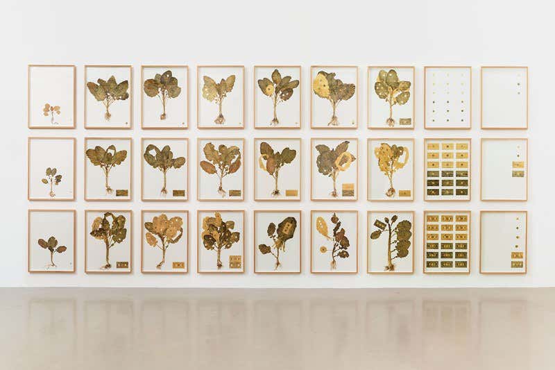 Periodic Tales: all the elements of a splendid failure