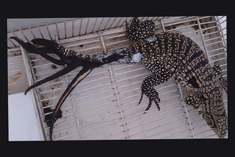 New Scientist. Science news and long reads from expert journalists, covering developments in science, technology, health and the environment on the website and the magazine.