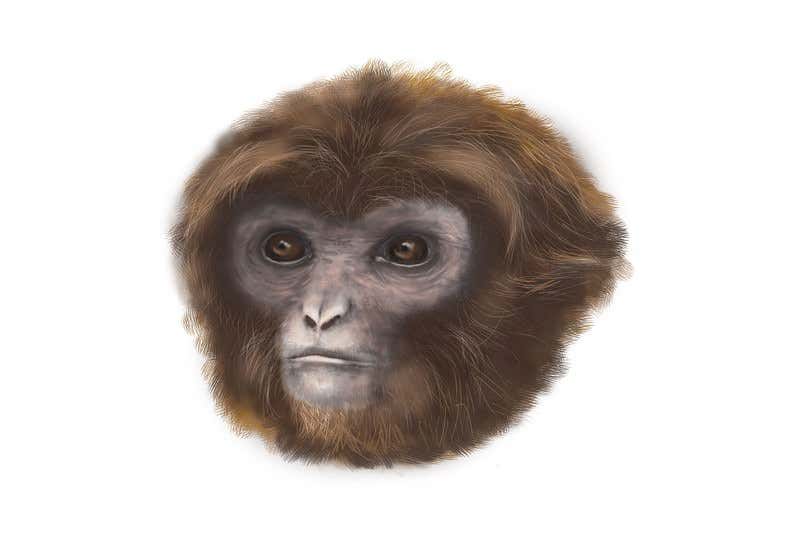 New Scientist. Science news and long reads from expert journalists, covering developments in science, technology, health and the environment on the website and the magazine.