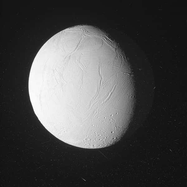 New Scientist. Science news and long reads from expert journalists, covering developments in science, technology, health and the environment on the website and the magazine.