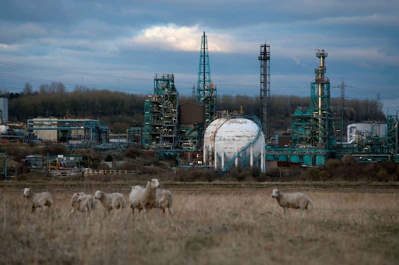 New Scientist. Science news and long reads from expert journalists, covering developments in science, technology, health and the environment on the website and the magazine.