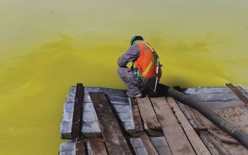 New Scientist. Science news and long reads from expert journalists, covering developments in science, technology, health and the environment on the website and the magazine.