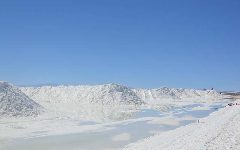 New Scientist. Science news and long reads from expert journalists, covering developments in science, technology, health and the environment on the website and the magazine.