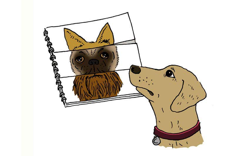 New Scientist. Science news and long reads from expert journalists, covering developments in science, technology, health and the environment on the website and the magazine.