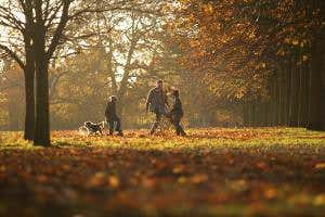 The algorithms that make sense of your health data