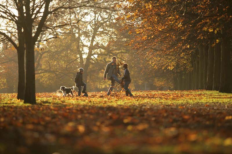 New Scientist. Science news and long reads from expert journalists, covering developments in science, technology, health and the environment on the website and the magazine.