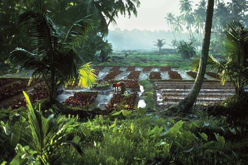 New Scientist. Science news and long reads from expert journalists, covering developments in science, technology, health and the environment on the website and the magazine.