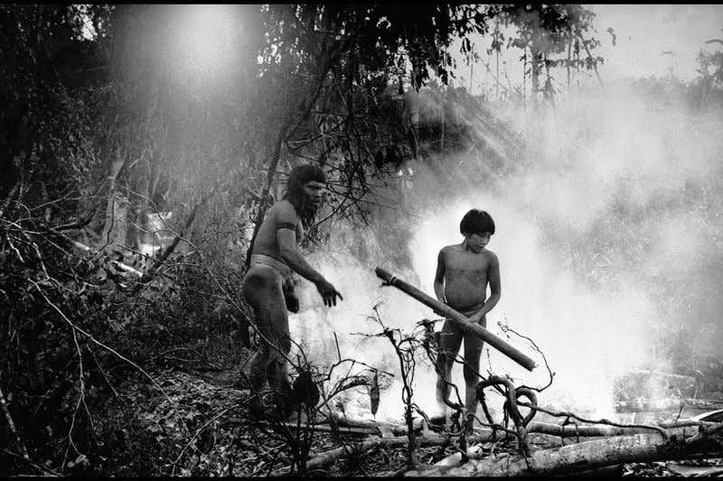 New Scientist. Science news and long reads from expert journalists, covering developments in science, technology, health and the environment on the website and the magazine.