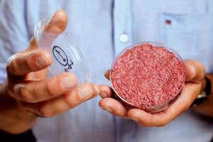 Massive vats of fake meat brewed in goo could change how we eat