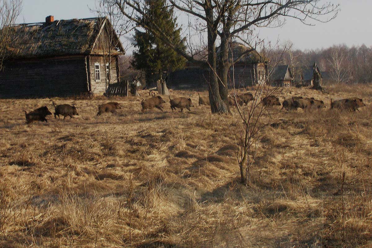 New Scientist. Science news and long reads from expert journalists, covering developments in science, technology, health and the environment on the website and the magazine.