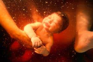 Professionals, your time is up, prepare to be sidelined by tech