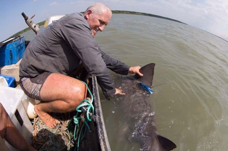 New Scientist. Science news and long reads from expert journalists, covering developments in science, technology, health and the environment on the website and the magazine.
