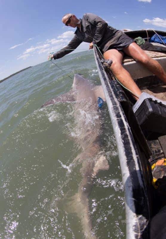 New Scientist. Science news and long reads from expert journalists, covering developments in science, technology, health and the environment on the website and the magazine.