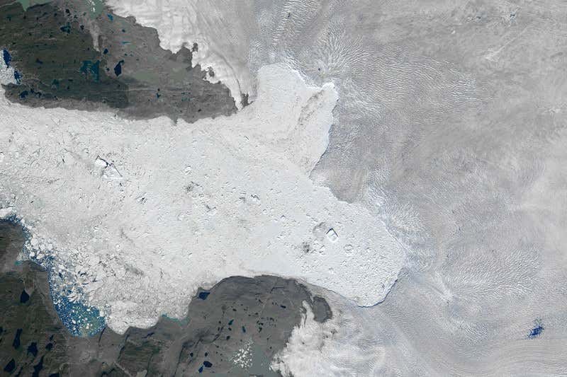 New Scientist. Science news and long reads from expert journalists, covering developments in science, technology, health and the environment on the website and the magazine.