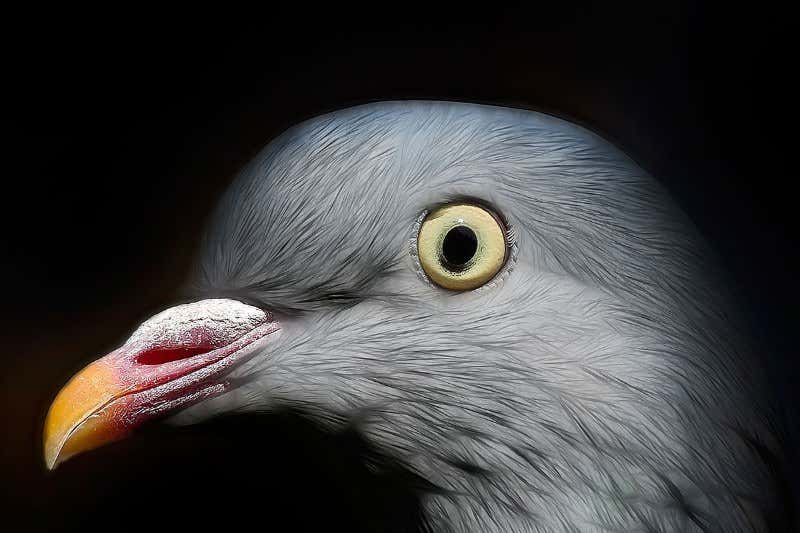 New Scientist. Science news and long reads from expert journalists, covering developments in science, technology, health and the environment on the website and the magazine.