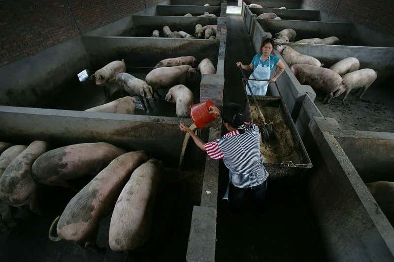New Scientist. Science news and long reads from expert journalists, covering developments in science, technology, health and the environment on the website and the magazine.