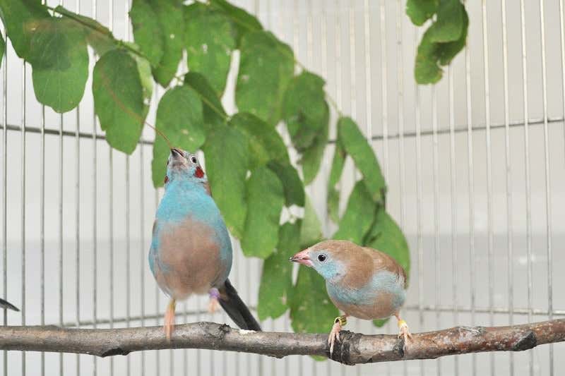 New Scientist. Science news and long reads from expert journalists, covering developments in science, technology, health and the environment on the website and the magazine.