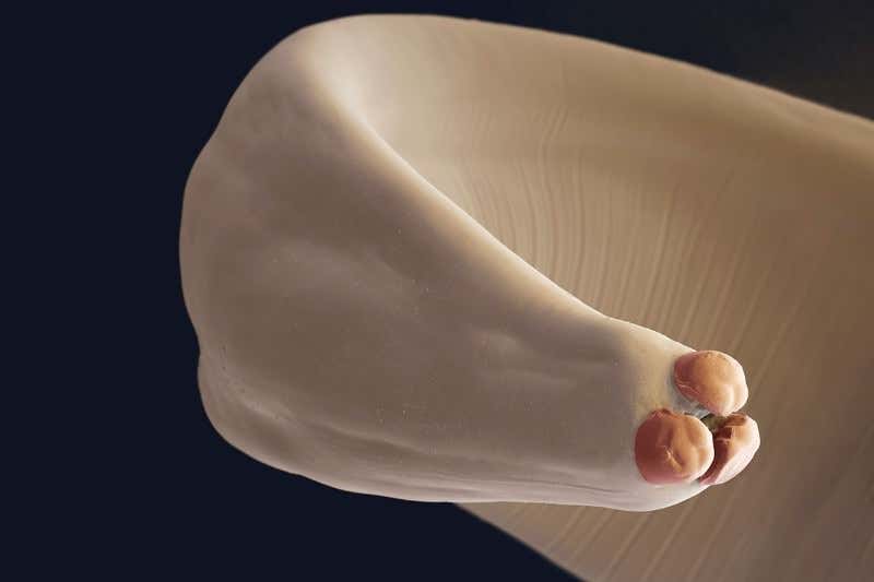 New Scientist. Science news and long reads from expert journalists, covering developments in science, technology, health and the environment on the website and the magazine.