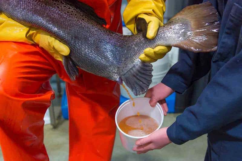 New Scientist. Science news and long reads from expert journalists, covering developments in science, technology, health and the environment on the website and the magazine.