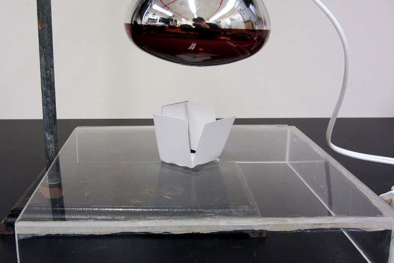 Bacteria build bendy plastic that astronauts could use for tools