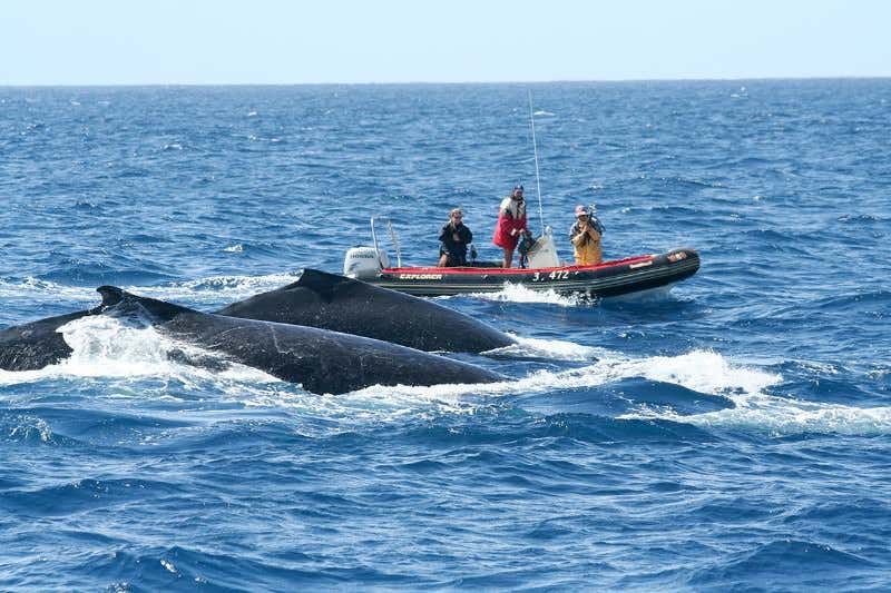 New Scientist. Science news and long reads from expert journalists, covering developments in science, technology, health and the environment on the website and the magazine.