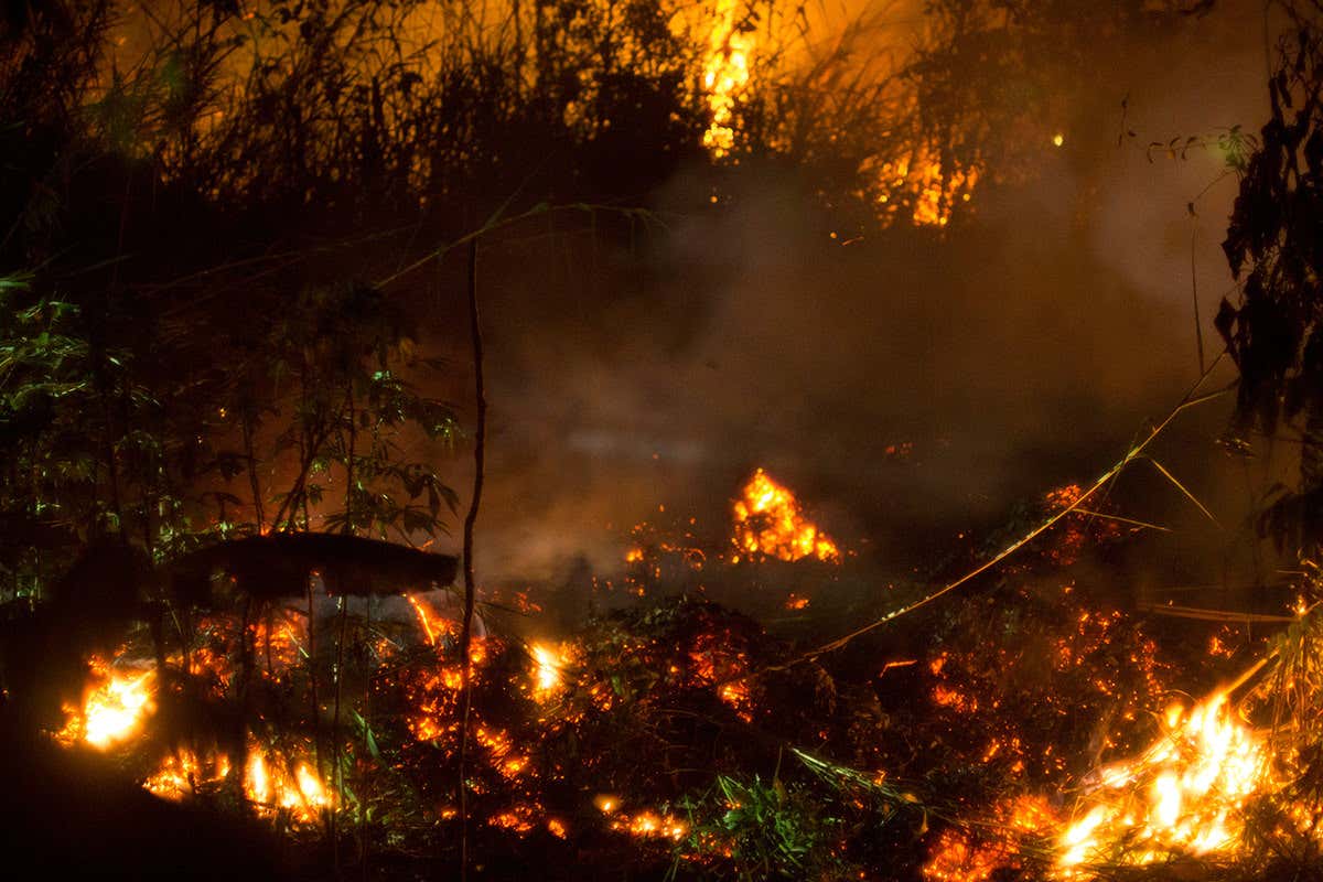 Fires in the peatland on Borneo