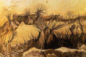 Branching patterns in mud make even puddles beautiful