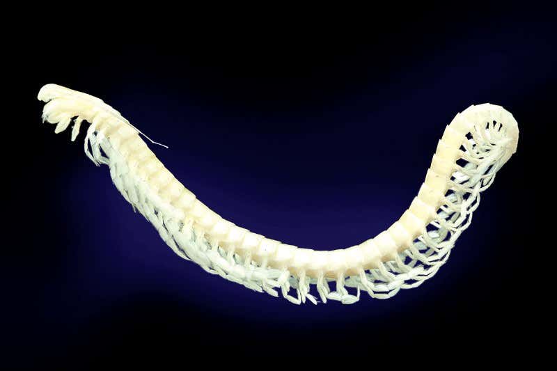 New Scientist. Science news and long reads from expert journalists, covering developments in science, technology, health and the environment on the website and the magazine.