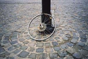 Data protection is complex and costly, finds <i>Obfuscation</i>