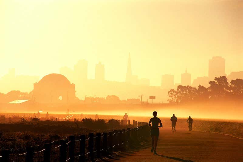 New Scientist. Science news and long reads from expert journalists, covering developments in science, technology, health and the environment on the website and the magazine.