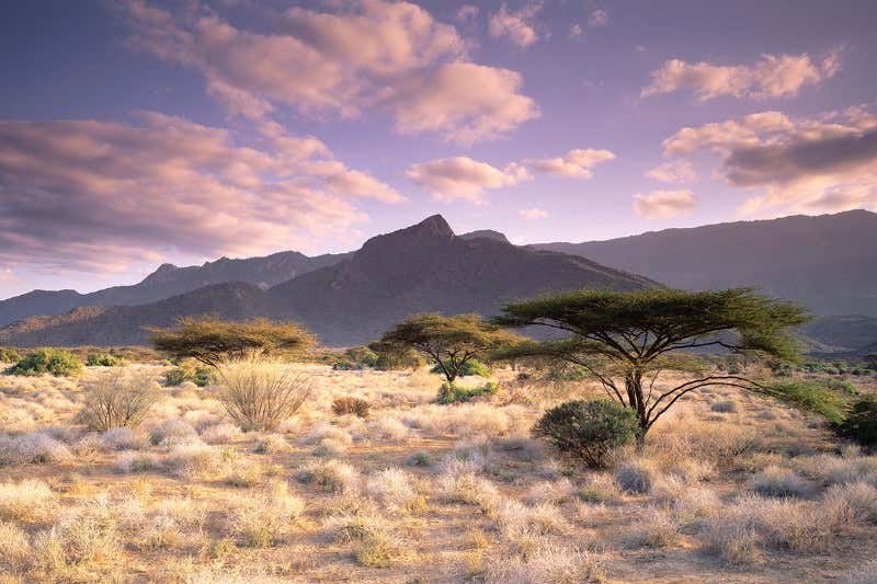 New Scientist. Science news and long reads from expert journalists, covering developments in science, technology, health and the environment on the website and the magazine.