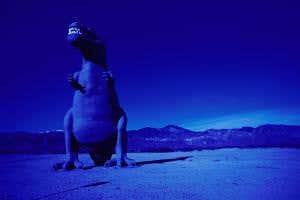 Sharp-eared T. rex may have stalked the night like today's owls