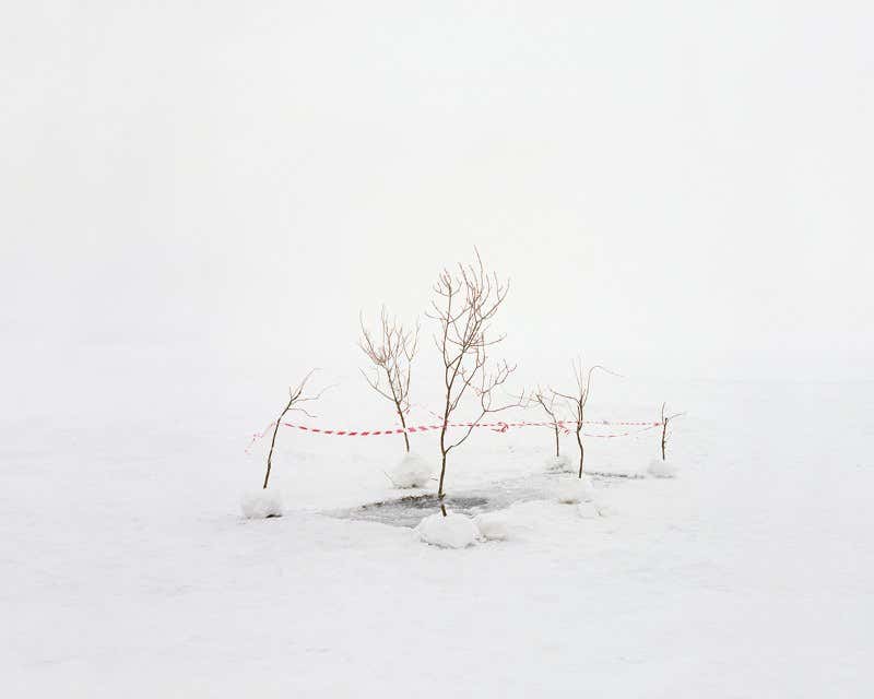 New Scientist. Science news and long reads from expert journalists, covering developments in science, technology, health and the environment on the website and the magazine.