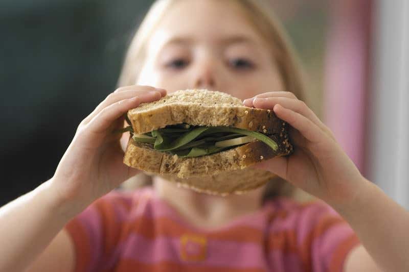 Journeys of a lifetime: A sandwich's energy becomes a scream