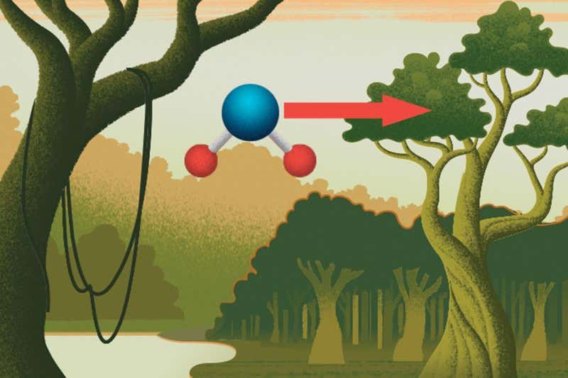 Journeys of a lifetime: A mosasaurus breathes into your stove