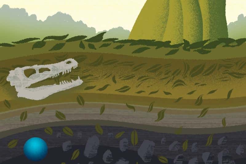 New Scientist. Science news and long reads from expert journalists, covering developments in science, technology, health and the environment on the website and the magazine.