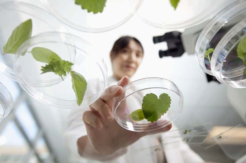 New Scientist. Science news and long reads from expert journalists, covering developments in science, technology, health and the environment on the website and the magazine.