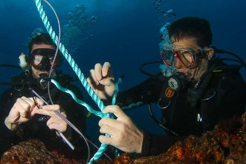 New Scientist. Science news and long reads from expert journalists, covering developments in science, technology, health and the environment on the website and the magazine.