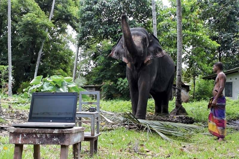 New Scientist. Science news and long reads from expert journalists, covering developments in science, technology, health and the environment on the website and the magazine.